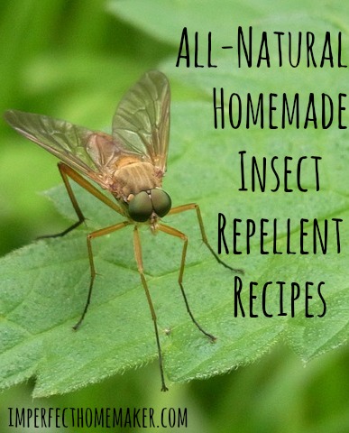 Natural Homemade Insect Repellent