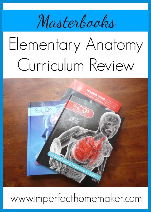 Elementary Anatomy Homeschool Curriculum Review