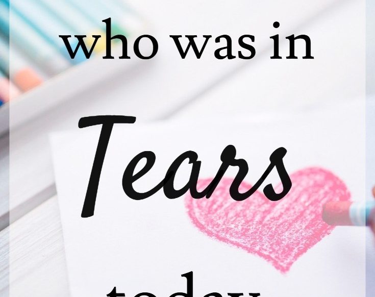 Dear Mom Who Was in Tears Today | Christian Motherhood