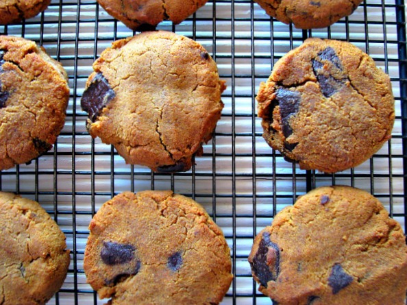 Pumpkin Chocolate Chip Cookies